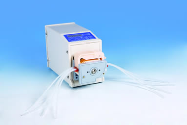 ��X��(x��)�ֺ�����