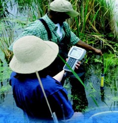 YSI 6ϵ�ж๦��ˮ�|(zh��)�O(ji��n)�y(c��)ϵ�y(t��ng)