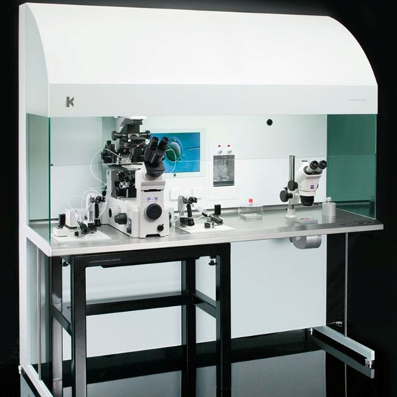 L126MP IVF�����@΢���������_