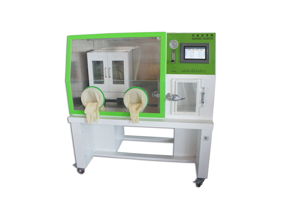 �������B(y��ng)��LAI-3-T