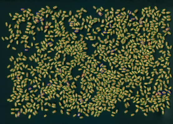 С�����^Ʒ�|(zh��)������������Ǚz�y(c��)�xSC-X��